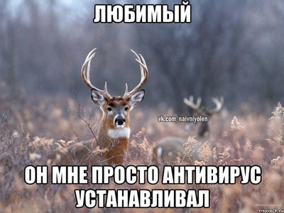 выпороток что это такое. Смотреть фото выпороток что это такое. Смотреть картинку выпороток что это такое. Картинка про выпороток что это такое. Фото выпороток что это такое