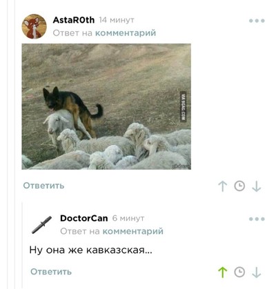 Иллюстрация к комментарию