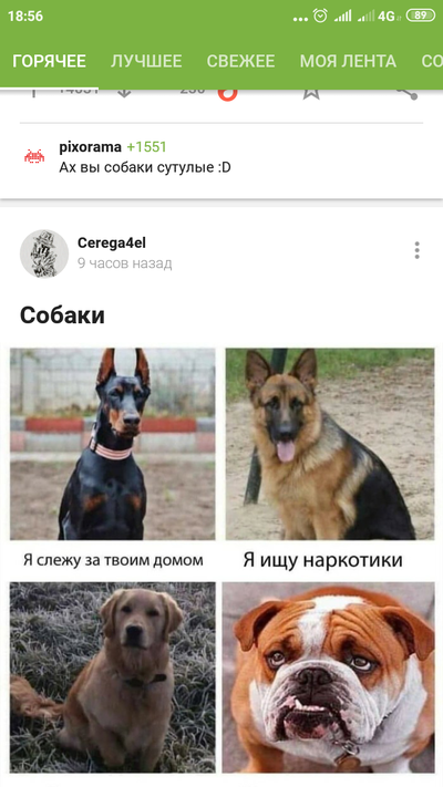 Иллюстрация к комментарию