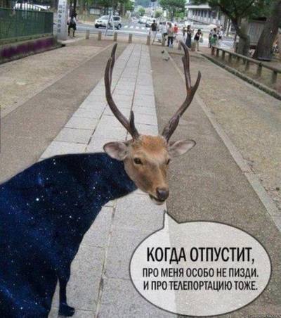 что видит хищник после погони за мной. 1582586241114175263. что видит хищник после погони за мной фото. что видит хищник после погони за мной-1582586241114175263. картинка что видит хищник после погони за мной. картинка 1582586241114175263.