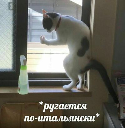 Что ты думаешь о пицце с ананасами. Смотреть фото Что ты думаешь о пицце с ананасами. Смотреть картинку Что ты думаешь о пицце с ананасами. Картинка про Что ты думаешь о пицце с ананасами. Фото Что ты думаешь о пицце с ананасами