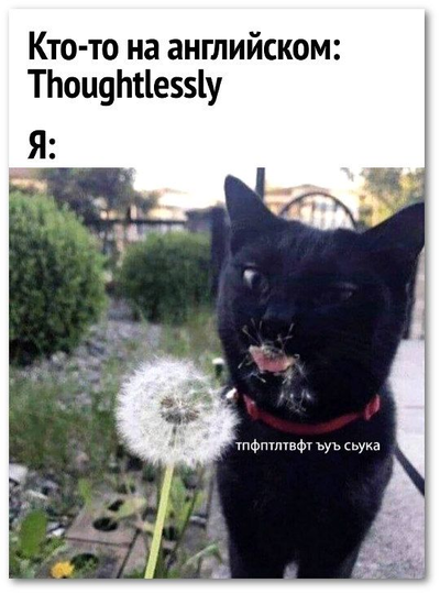 бикукле что это такое. Смотреть фото бикукле что это такое. Смотреть картинку бикукле что это такое. Картинка про бикукле что это такое. Фото бикукле что это такое бикукле что это такое. Смотреть фото бикукле что это такое. Смотреть картинку бикукле что это такое. Картинка про бикукле что это такое. Фото бикукле что это такое