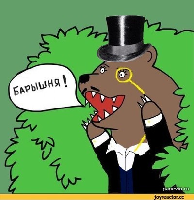 Èëëþñòðàöèÿ ê êîììåíòàðèþ