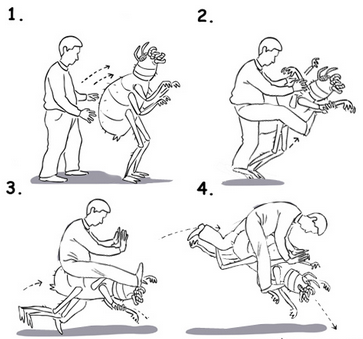 ����������� � �����������