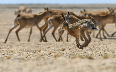 жизнь заставит не так раскорячишься откуда фраза. Смотреть фото жизнь заставит не так раскорячишься откуда фраза. Смотреть картинку жизнь заставит не так раскорячишься откуда фраза. Картинка про жизнь заставит не так раскорячишься откуда фраза. Фото жизнь заставит не так раскорячишься откуда фраза