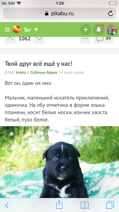 Иллюстрация к комментарию