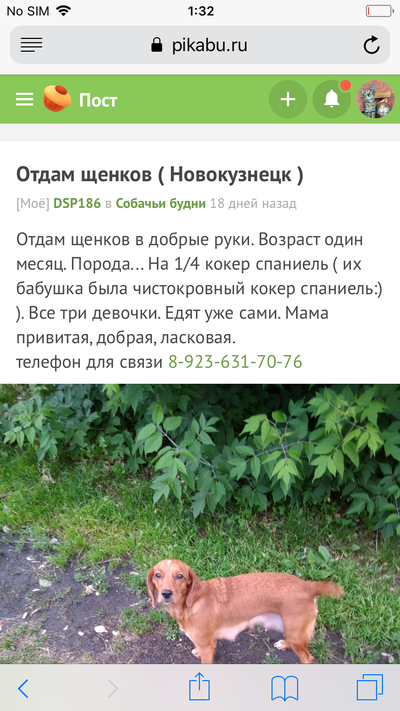 Иллюстрация к комментарию