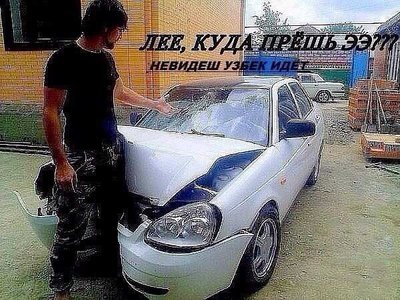 1595535536117911290 помогите даше найти мозги