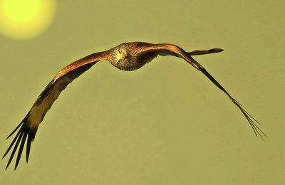 вот такую рыбу поймал картинки. Смотреть фото вот такую рыбу поймал картинки. Смотреть картинку вот такую рыбу поймал картинки. Картинка про вот такую рыбу поймал картинки. Фото вот такую рыбу поймал картинки вот такую рыбу поймал картинки. Смотреть фото вот такую рыбу поймал картинки. Смотреть картинку вот такую рыбу поймал картинки. Картинка про вот такую рыбу поймал картинки. Фото вот такую рыбу поймал картинки