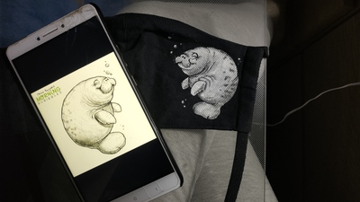 Иллюстрация к комментарию