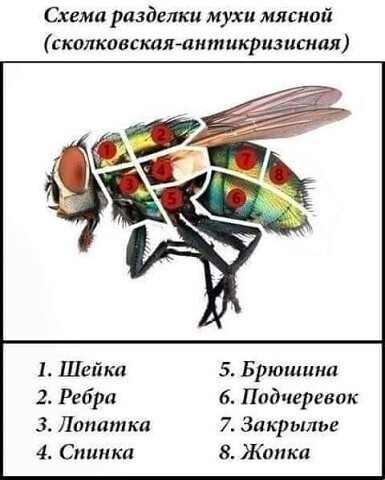 Komentář ilustrace