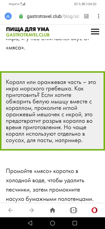 морской гребешок с икрой на раковине как приготовить. Смотреть фото морской гребешок с икрой на раковине как приготовить. Смотреть картинку морской гребешок с икрой на раковине как приготовить. Картинка про морской гребешок с икрой на раковине как приготовить. Фото морской гребешок с икрой на раковине как приготовить