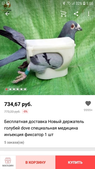 Шлем для курицы зачем нужен. Смотреть фото Шлем для курицы зачем нужен. Смотреть картинку Шлем для курицы зачем нужен. Картинка про Шлем для курицы зачем нужен. Фото Шлем для курицы зачем нужен