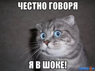 когда выдают форму в полиции после стажировки