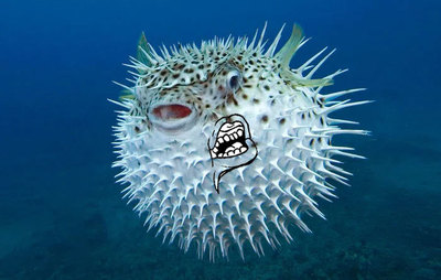 рыба фугу картинки для детей. Смотреть фото рыба фугу картинки для детей. Смотреть картинку рыба фугу картинки для детей. Картинка про рыба фугу картинки для детей. Фото рыба фугу картинки для детей рыба фугу картинки для детей. Смотреть фото рыба фугу картинки для детей. Смотреть картинку рыба фугу картинки для детей. Картинка про рыба фугу картинки для детей. Фото рыба фугу картинки для детей