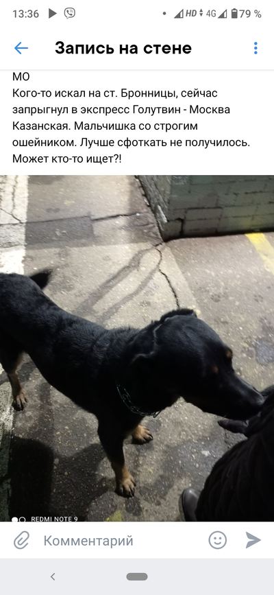 Иллюстрация к комментарию