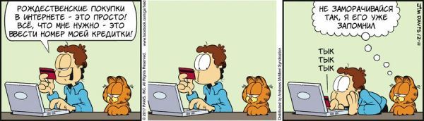 Translated by Garfield, December 11, 2017 - My, Comics, Translation, Garfield, cat, Humor, Credit card