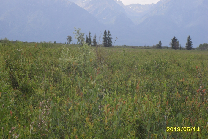 Tunkinskaya valley. Pearl - My, Tunka Valley, Pearl, The hot springs, Longpost