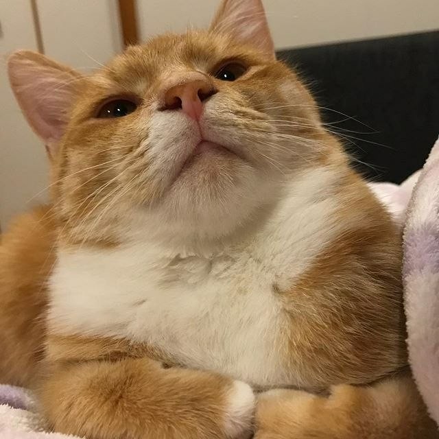 Ты мне минус поставил?!