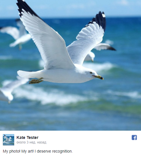 500 tenge and a seagull. - Tenge, Seagulls, Authorship, Longpost