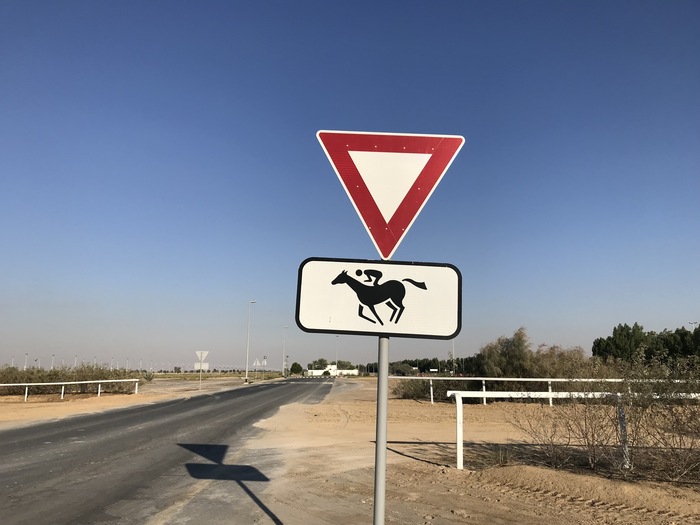 Dubai, UAE - My, Dubai, Road sign, Give Way, Horses