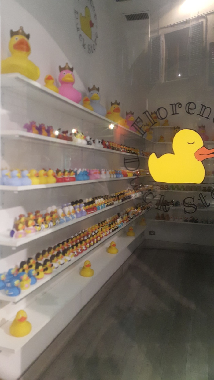 An interesting store that only sells rubber ducks. Italy)) - Peace, Travels, Italy, Funny, Humor, Score, Longpost