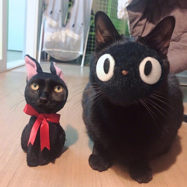 No difference - cat, Toys