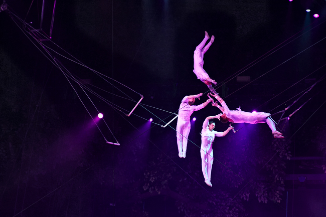 Chimelong International Circus! One of my jobs! - Partially mine, Circus, Interesting, China, Artist, Art, Work, Longpost