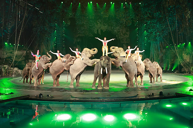 Chimelong International Circus! One of my jobs! - Partially mine, Circus, Interesting, China, Artist, Art, Work, Longpost