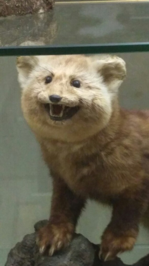       ( 2)  , , ,  , 