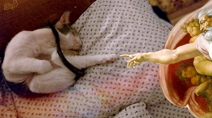 ���������� ����� ( ��� ������������... )