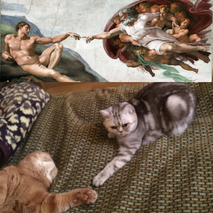   , , 