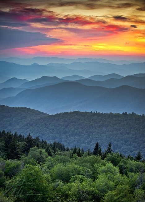 look into the distance - The photo, Nature, beauty, The mountains, Forest, Sky