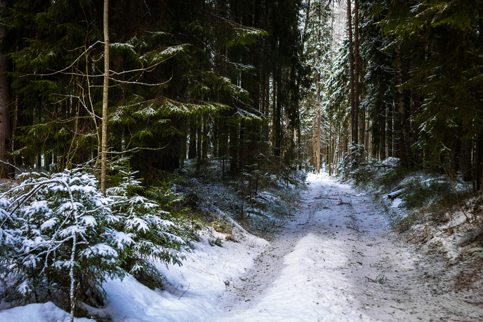 Several recent photos - My, The photo, Landscape, Canon, Bunker, Mannerheim Line, Longpost, League of photographers