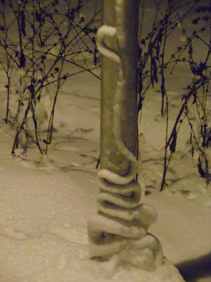 It snowed in Odessa. - Snow, Snake, Longpost