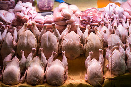 Chicken meat in Russia turned out to be life-threatening - Food, Hen, Harm, Nutrition, Quality, Score, Birds