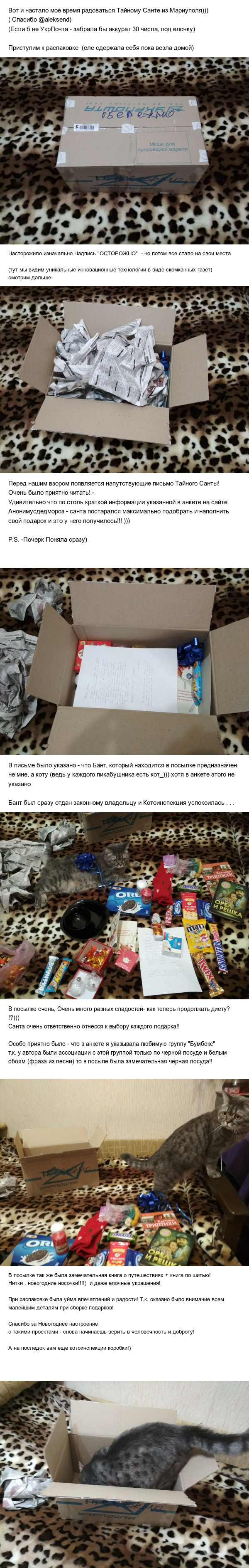 It's time to report to Secret Santa (@aliksend) from Mariupol to Kharkiv - Report, Secret Santa, Gift exchange, My, New Year, Presents, cat, Longpost