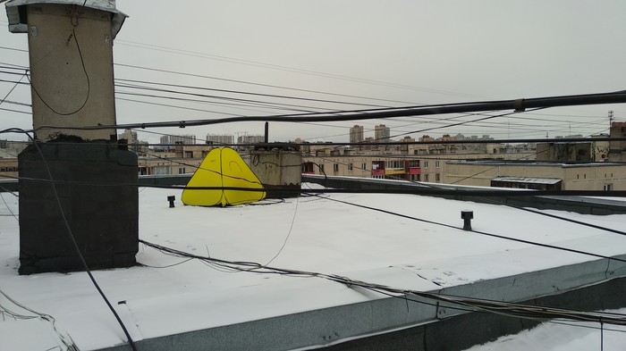 �� �� ���� ������ ������