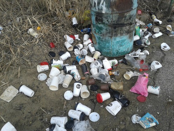 Waste from the coffee business. - Garbage, Beach, Novosibirsk, Akademgorodok, Longpost