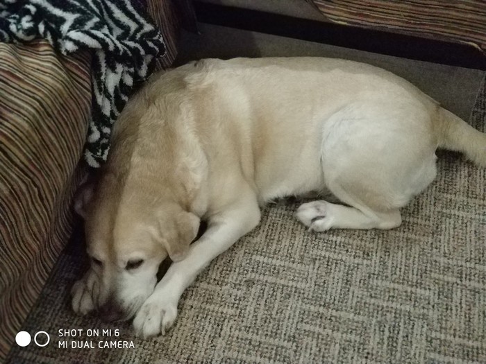  4,      ,  ,  ,        .....