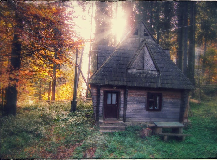 House in the forest in the Carpathians - My, Carpathians, House, Forest, Autumn