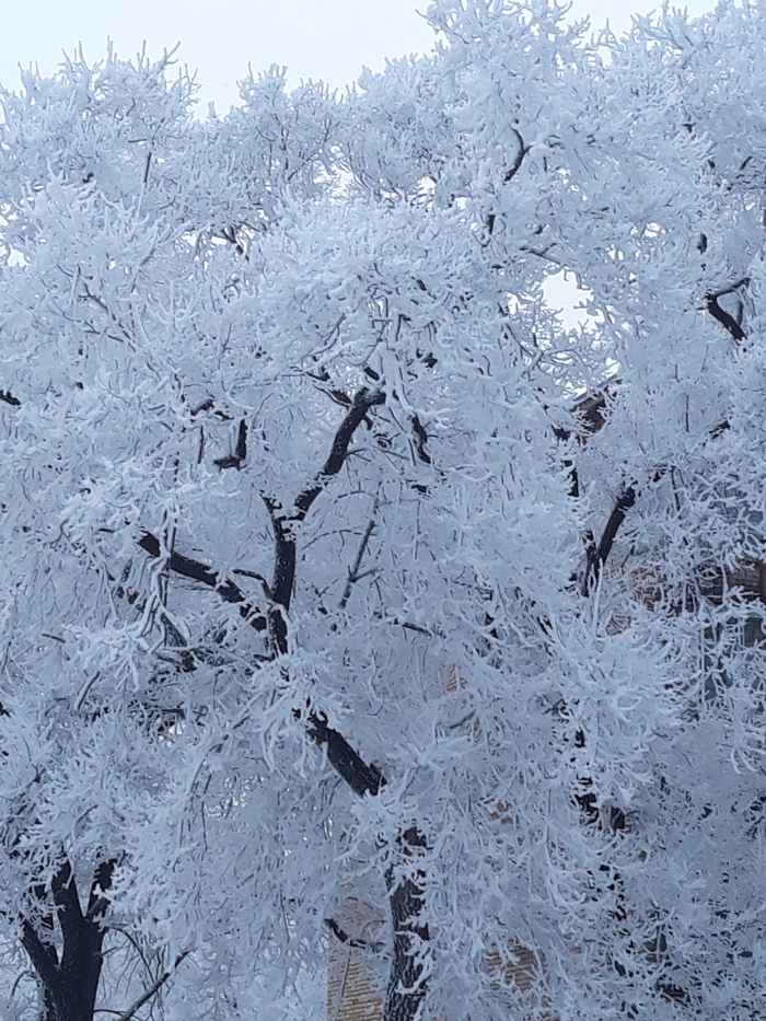 Winter - Primorsky Krai, Winter, Longpost