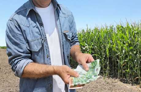 Beginner farmers to be taught how to count money in Kazakhstan - Agronews, Kazakhstan, Farmer, Education, Millionaire, Institute