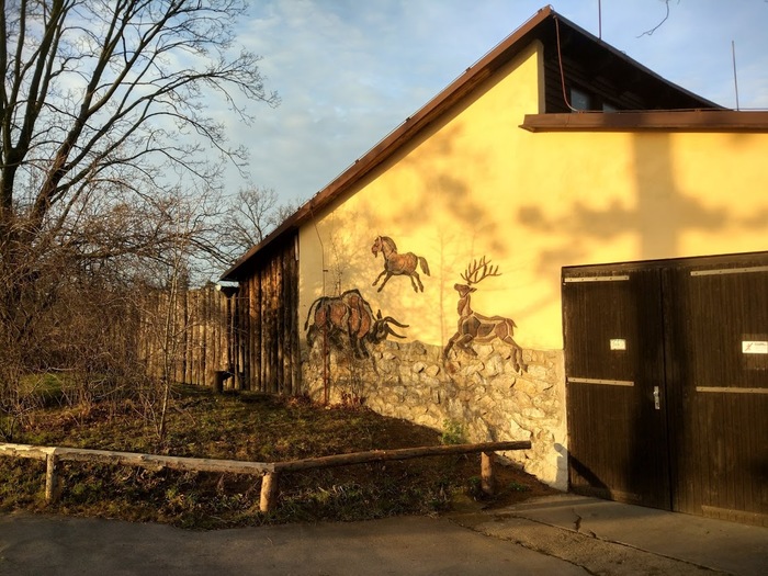 About good donkeys and Prague Zoo - Animals, Prague, Czech, Zoo, Travels, wildlife, Donkey, Longpost