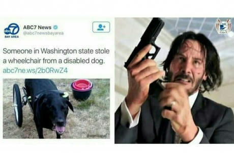 In Washington State, someone stole a wheelchair from a disabled dog. - Dog, John Wick