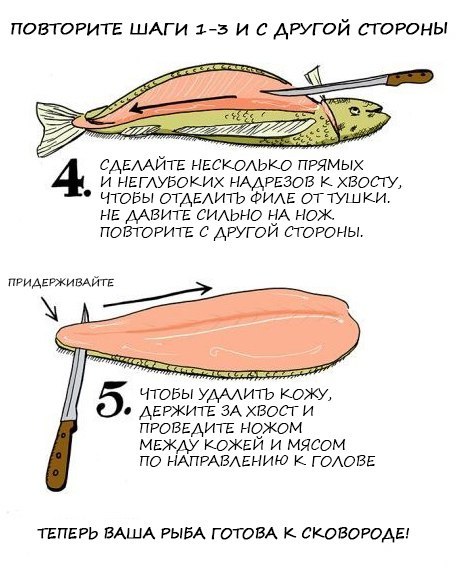 How to fillet fish - A fish, Cooking, The culinary underground