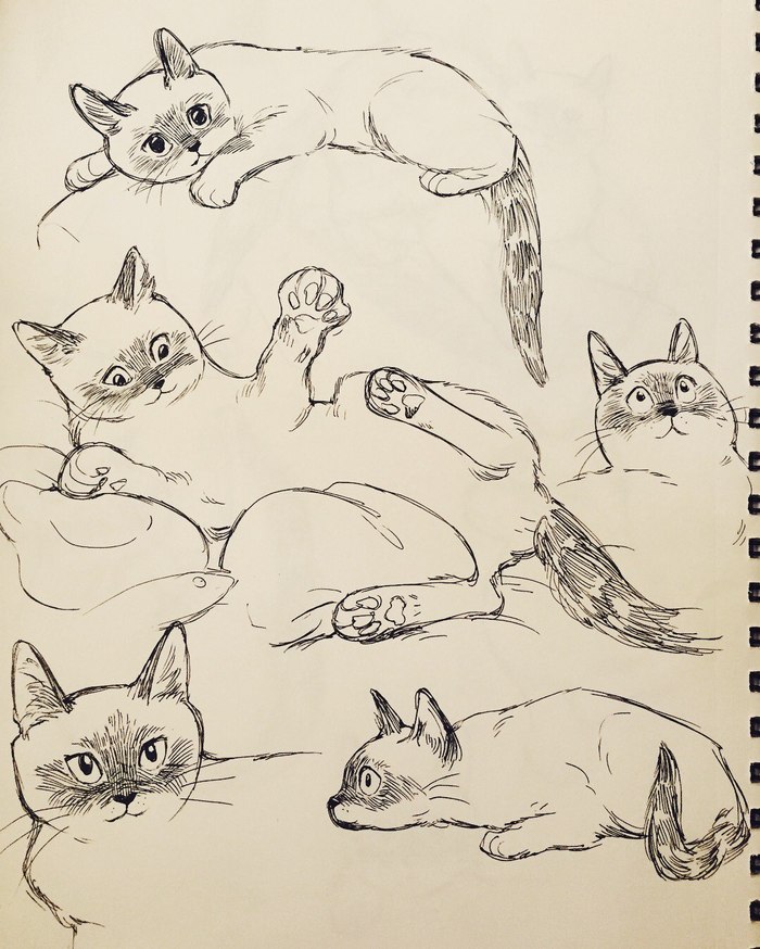 Bev Johnson - cat, Longpost, Drawing