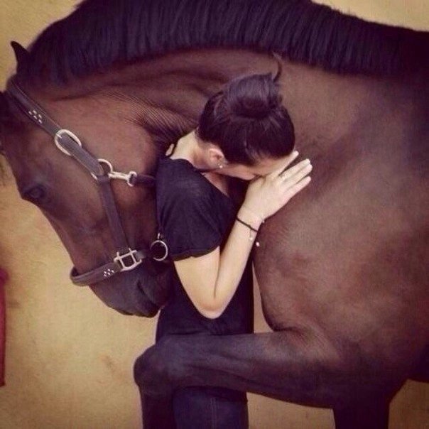 Have you seen how a horse hugs a person? - Hugs, Horses, Girls, Animals