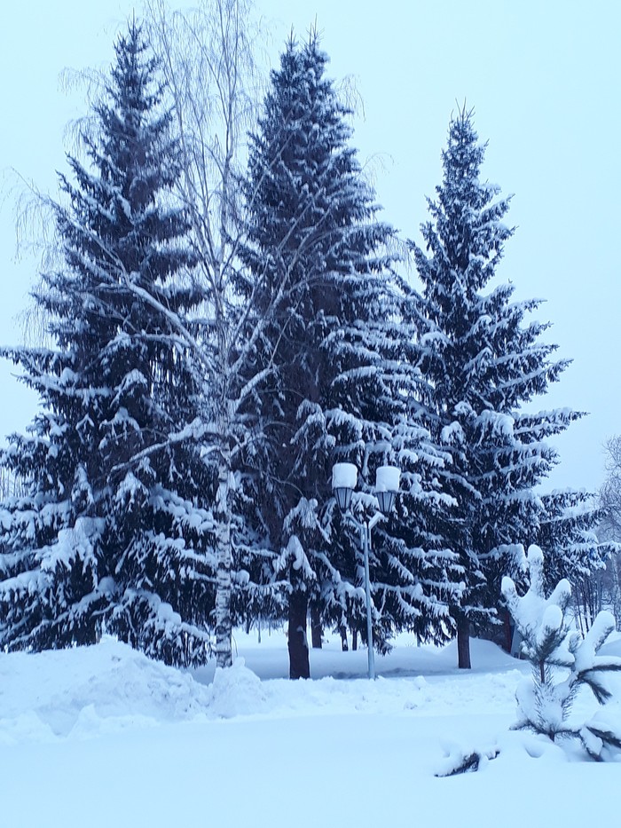 IN THE PARK - My, Evening, Winter, The park