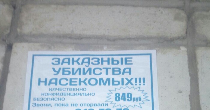 Достали? Найми киллеров - Убийство, Киллер, Насекомые, Объявление, Оригинальная идея